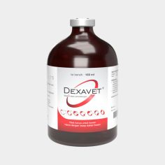 Dexavet