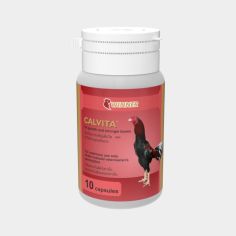 Calvita Laga