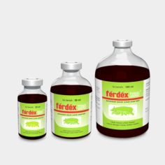 Ferdex
