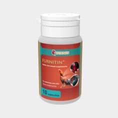 Furnitin