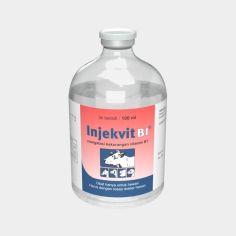Injekvit B1