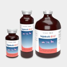 Injekvit B12