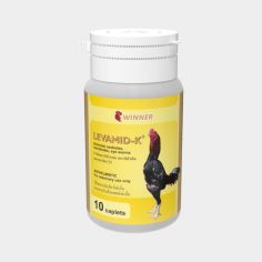 Levamid Kaplet
