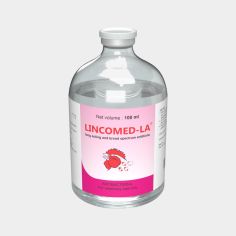 Lincomed-LA