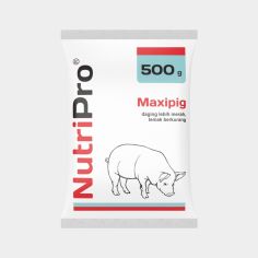 Maxipig